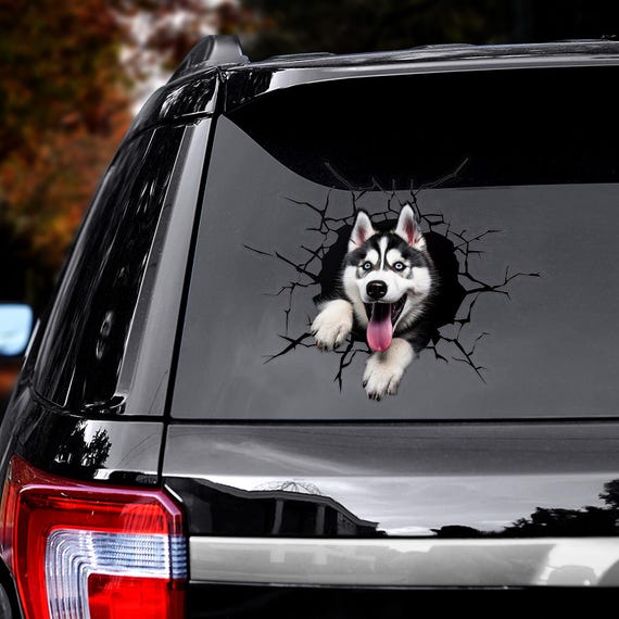 INDIGOS UG Adesivo per auto – JDM – Die Cut – Husky siberiano – giallo – 150 x 139 – Tuning – Sticker – lunotto posteriore – auto, bicicletta – moto