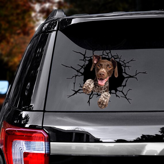 Adesivo Auto Yorkshire Terrier - 20cm, Colore Argento, Vinile Di Alta Qualità, Dura Fino A 8 Anni - Foto 3