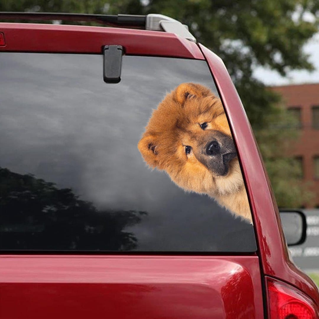 Artstickers - Adesivo per auto a forma di cane Chow Chow Chow Chow, 20 cm, colore: nero