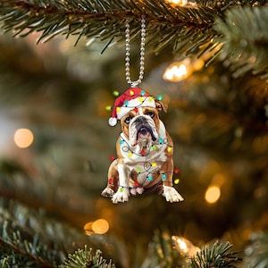 Könnte beinhalten: Ein Weihnachtsbaumschmuck mit einem Bulldoggen, der einen Weihnachtsmann-Hut trägt und in bunte Weihnachtslichter gewickelt ist.