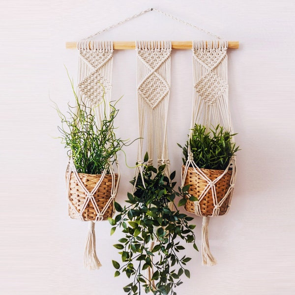 Macrame Plant Hanger Set - Etsy