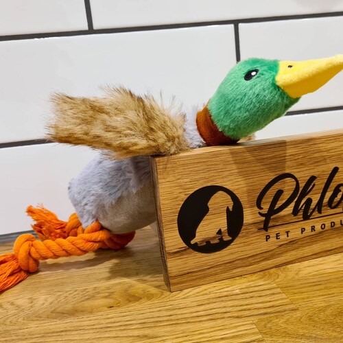 Duck Dog Toy. Quacking Soft Plush Puppy Toy. Internal - Etsy