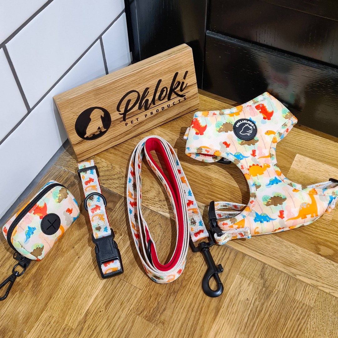 Dog Harness Set Dinosaur. Dino Collar. Dino Lead. Dinosaur Etsy