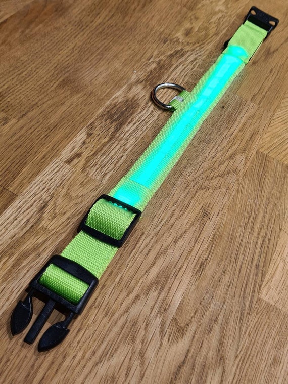 LED Dog Collar. Light up Dog Collar. Dog Walk Light. Dark Night