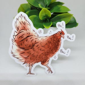 May include: A brown and white chicken sticker with the word "Poc!" written three times around it.