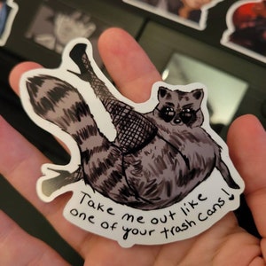 Take me out like one of your trashcans sticker funny raccoon sticker for laptop animal sticker