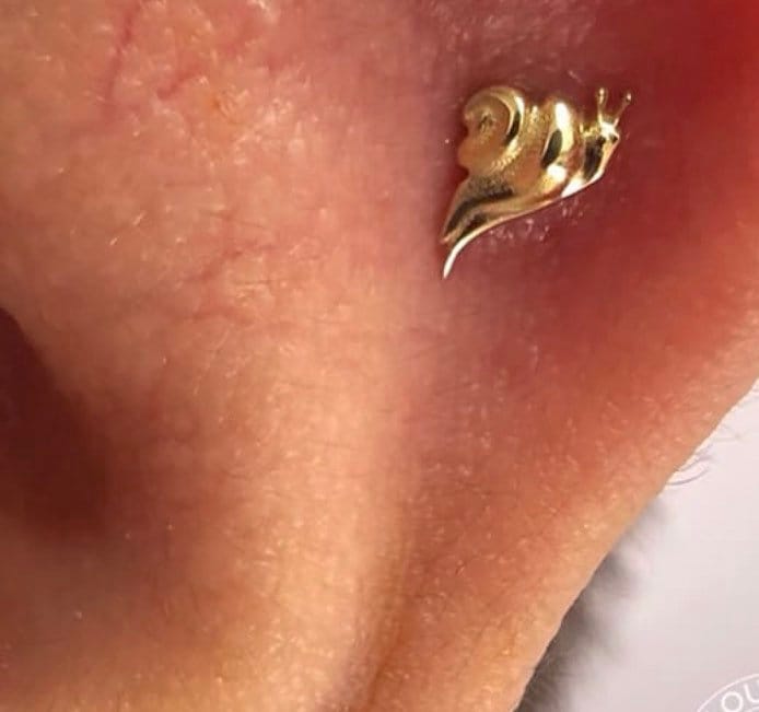 Snail nose ring discount