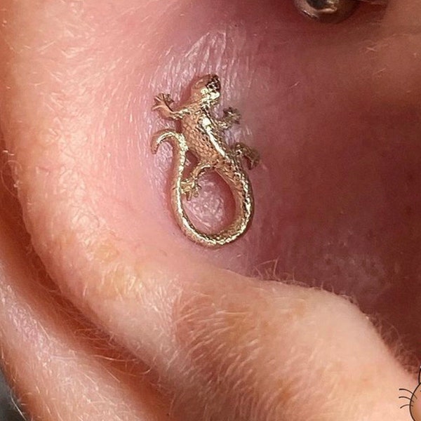 14K Solid Yellow, Rose, White Gold Collared Lizard Piercing, Body Jewelry, 25g Threadless pin, 14g or 16g Threaded pins