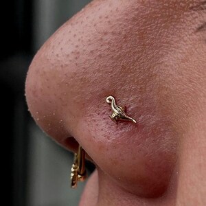 14K Solid Yellow, Rose, White Gold Magic Lamp Piercing, Body Jewelry, 25g Threadless pin, 14g or 16g Threaded pins