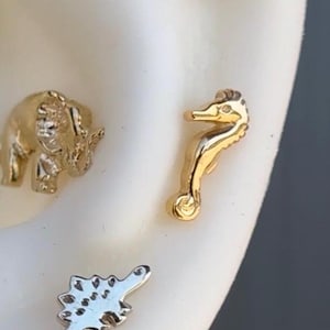 14K Solid Yellow, Rose, White Gold Seahorse Right or Left side Piercing, Body Jewelry, 25g Threadless pin, 14g or 16g Threaded pins