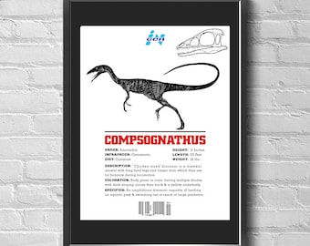 New 1997 Jurassic Park The Lost World 13 X 19 Movie Poster Prop Replica Print Ingen Dinosaur List- Compsognathus (No Frame) Free US Shipping