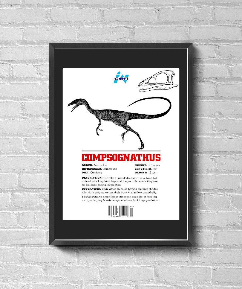 New 1997 Jurassic Park the Lost World 13 X 19 Movie Poster Prop