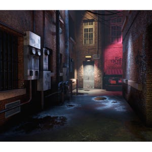 May include: A dimly lit alleyway scene with brick walls and a wet, reflective ground. Electrical boxes and pipes line the left wall, while a red-lit area and a closed metal door are visible at the end of the alley. Graffiti is on the right wall.
