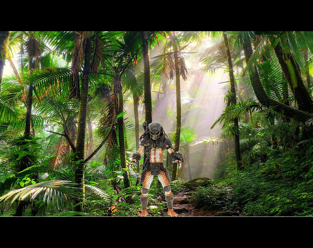 Predator Backdrop 7
