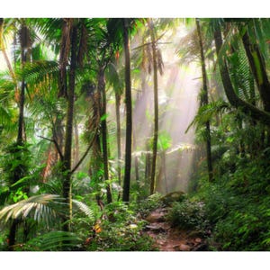 Jungle Landscape Action Figure Diorama Backdrop For Jurassic Park, Dinosaurs, GI Joe, Army, Predator Figures #1- No Figures Included