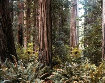 Star Wars Hasbro Kenner Power of the Force Black Series 6" 3.75" Action Figure Diorama Backdrop #14