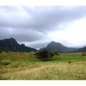 Mountain Landscape Action Figure Diorama Backdrop For Jurassic Park, Dinosaurs, GI Joe, Army, Predator Figures #2- No Figures Included