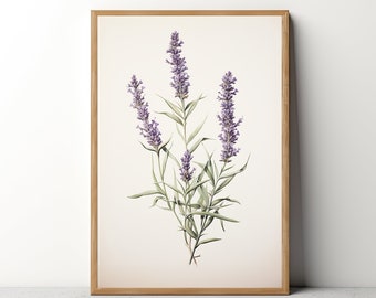 Lavender Flower Painting - French Country Farmhouse Printable - Botanical Print, Wildflower, Wild Flower Print - 103