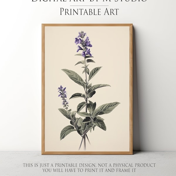 Salvia Flower Painting - French Country Farmhouse Printable - Botanical Print, Wildflower, Wild Flower Print - 120