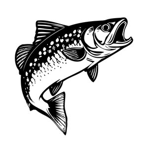 Trout SVG, PNG - Trout Clipart, Trout Fishing Svg, Trout Vector, Fishing Cut File, Fish Clip art