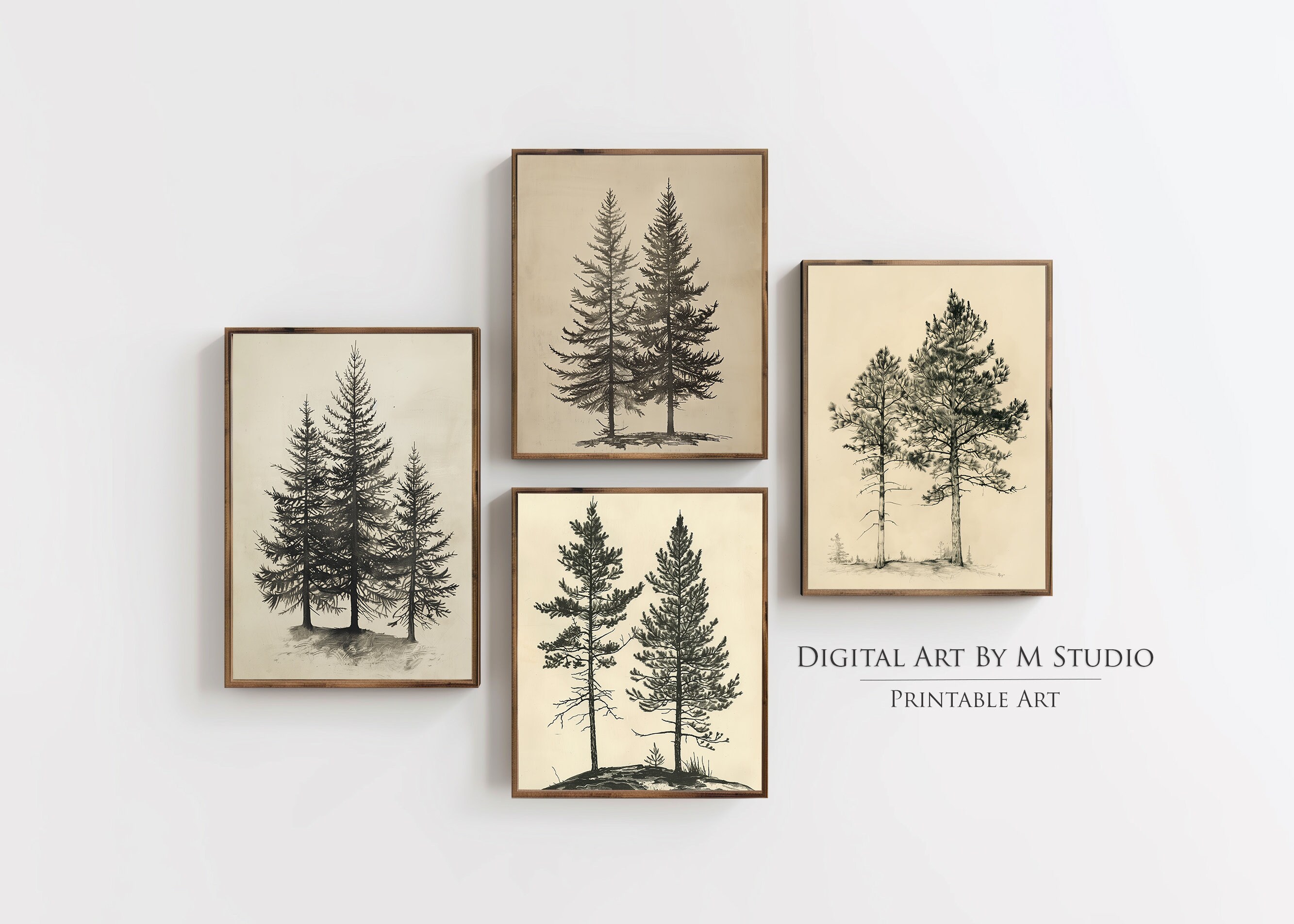 Pine Tree Vintage Antique Sketch - Tree Rough Sketches, Printable Set of Two - GA7 - Digital Download