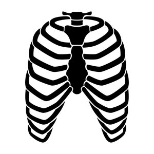 Rib Cage SVG, PNG - Med student Svg, Human Skeleton Svg, Bones Svg, Cut File voor Cricut, Silhouet