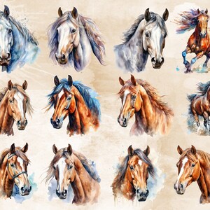 Pode incluir: Uma cole&ccedil;&atilde;o de doze pinturas de aquarela de cavalos. As pinturas apresentam cavalos em v&aacute;rias poses, incluindo correndo, em p&eacute; e olhando para o espectador. Os cavalos s&atilde;o pintados em tons de marrom, branco e cinza.