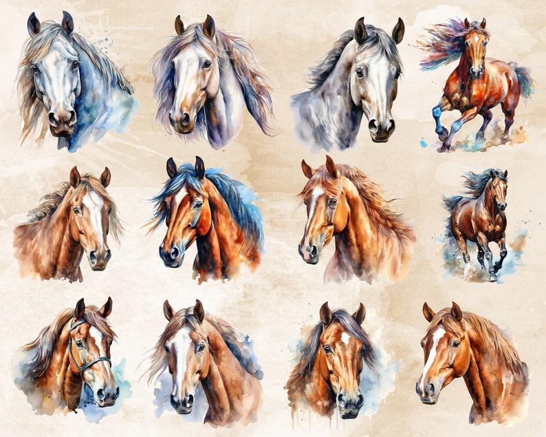 Pode incluir: Uma cole&ccedil;&atilde;o de doze pinturas de aquarela de cavalos. As pinturas apresentam cavalos em v&aacute;rias poses, incluindo correndo, em p&eacute; e olhando para o espectador. Os cavalos s&atilde;o pintados em tons de marrom, branco e cinza.