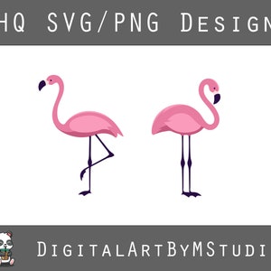Flamingos SVG, PNG - Flamingo - Pink Flamingo Clipart, Summer SVG, Graphics - Files for Cricut, Silhouette - Digital Download