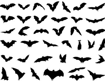 Fledermaus SVG Bundle, Halloween Fledermaus SVG, Fledermaus, Halloween, Nacht Fledermaus SVG, Png, SVG-Dateien für Cricut, Fledermäuse SVG, Silhouette, Cricut, Halloween svg