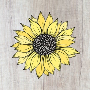 Girassol SVG, PNG, pétalas coloridas SVG, girassol clipart, arquivo cortado para Cricut, Silhouette, Cameo - Download instantâneo