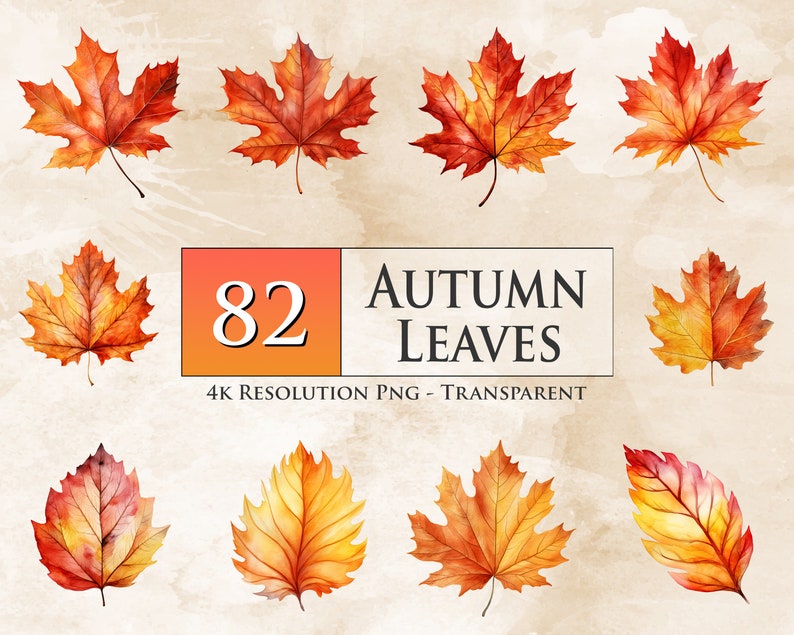 82 Watercolor Autumn Leaves PNG Bundle - Fall Clipart, Autumn Clipart ...