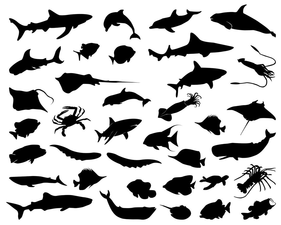 ocean-animals-svg-bundle-png-dolphin-svg-shark-svg-lobster-svg