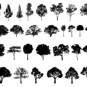 Albero SVG Bundle, PNG - Alberi Svg, Pino Svg, Oak Tree Svg, Forest Tree Svg, File Svg per Cricut, Silhouette, Clipart, Vector