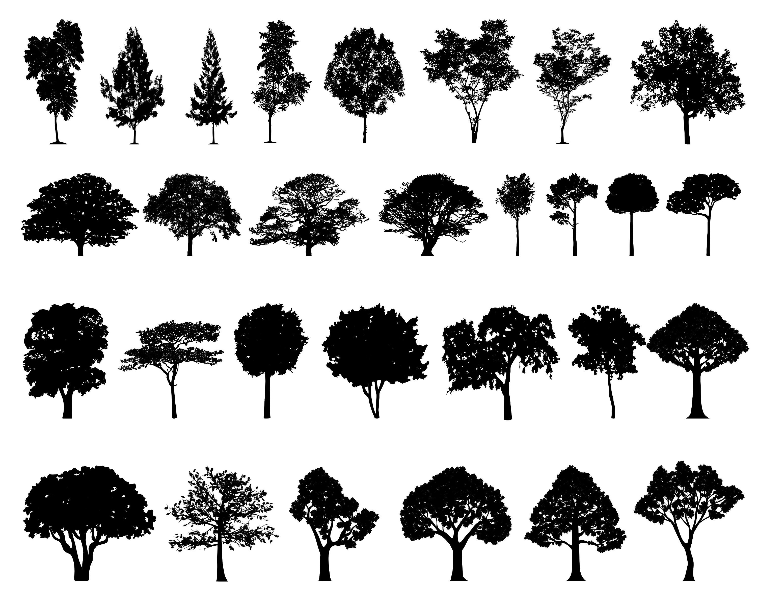 Simple Oak Tree Vector