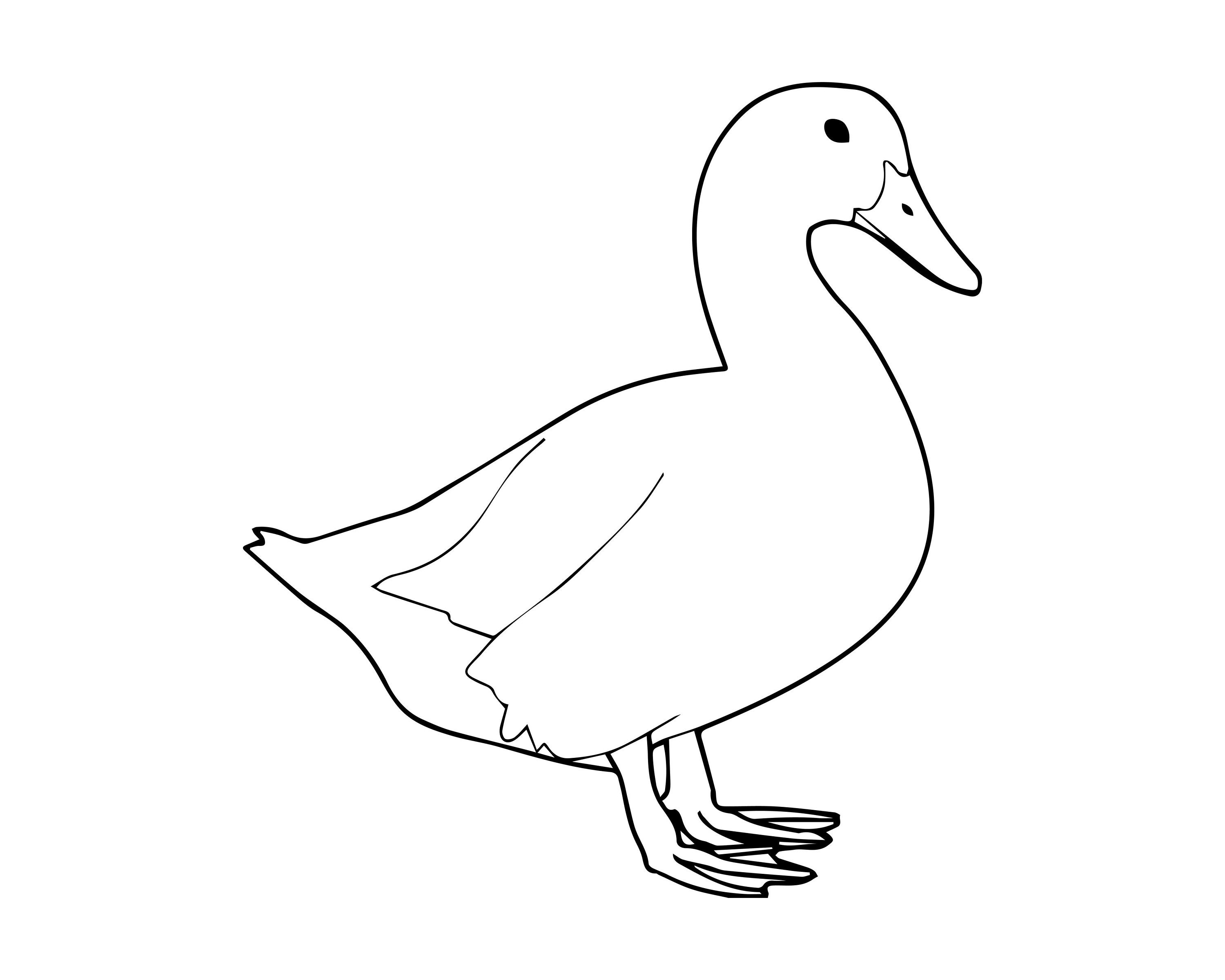 Duck SVG PNG Duck Drawing Svg Duck Outline Svg Duck Line Etsy