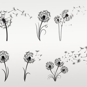 Dandelion SVG Bundle, Dandelion Png, Flower cut archivos para cricut, Silhouette, Dandelion Clipart - Descarga instantánea
