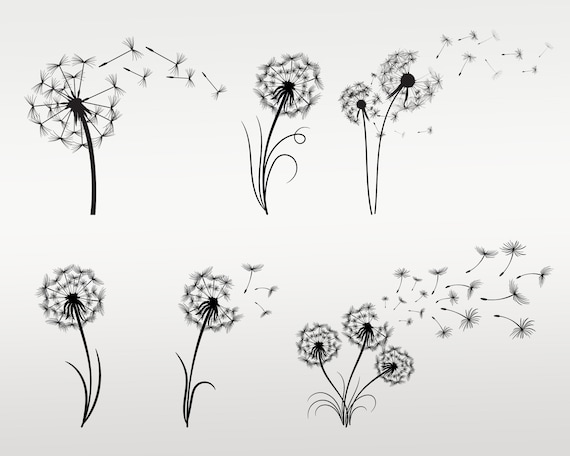Dandelion SVG Bundle, Dandelion Png, Flower cut files for cricut, Silhouette, Dandelion Clipart - Instant Download