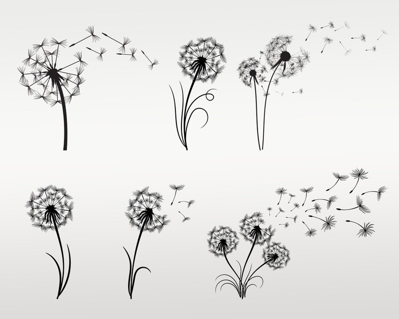 May include: Black and white silhouette illustration of dandelion seeds blowing in the wind. The illustration features multiple dandelions with seeds floating away.