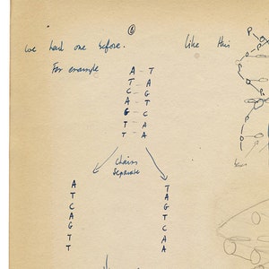 Watson & Crick Print, Poster, Art, Gift, Biology, DNA, Double Helix, Biologist, Francis Crick, James Watson, Great Scientist image 2