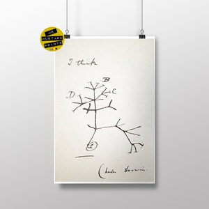 Charles Darwin, citazione "Penso": Stampa di Darwin, Poster, Arte, Regalo, Evoluzione, Biologia, Insegnante, Scienze naturali