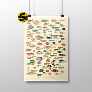 Tropical Fish Print - Vintage French Fine Art,  Surreal Art, Bathroom Art, Bathroom Print, Antique Print, Surreal Mashup