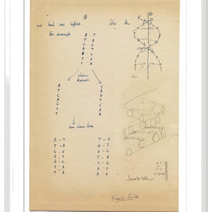 Watson & Crick Print, Poster, Art, Gift, Biology, DNA, Double Helix, Biologist, Francis Crick, James Watson, Great Scientist image 4