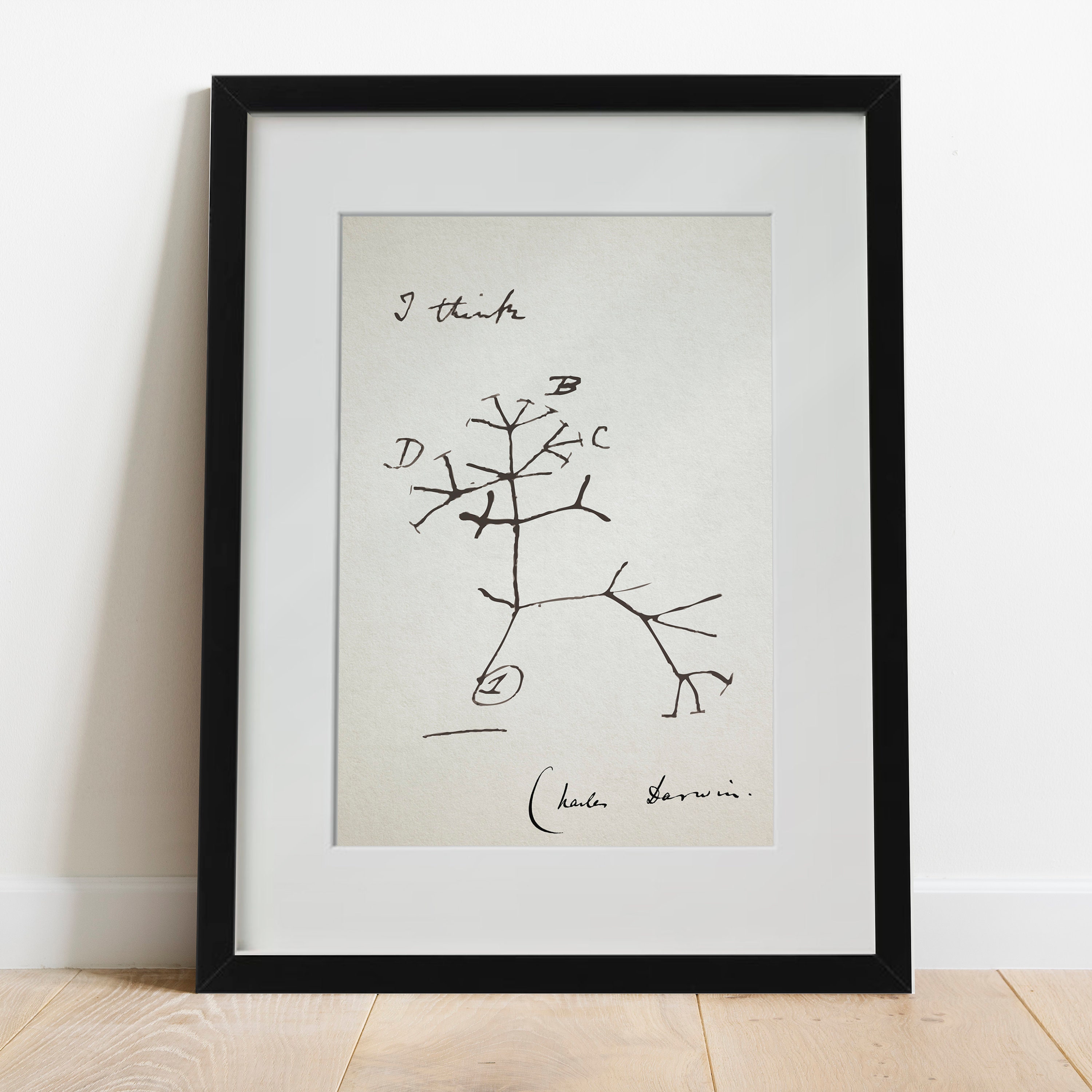Charles Darwin, 'I Think' Quote: Darwin Print, Poster, Art, Gift ...