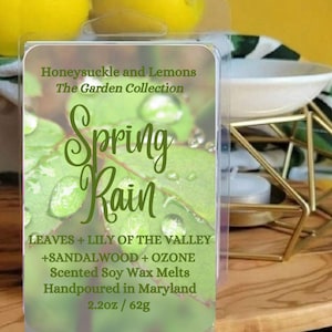 Puede incluir: Un contenedor de plástico transparente con una etiqueta blanca que dice "Honeysuckle and Lemons The Garden Collection Spring Rain LEAVES + LILY OF THE VALLEY +SANDALWOOD + OZONE Scented Soy Wax Melts Handpoured in Maryland 2.2oz/62g". La etiqueta tiene un fondo verde con una imagen de primer plano de una hoja verde con gotas de agua.
