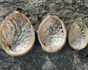 Abalone Shell, Compassion, Cleansing, Balance, Canadian Seller, Fast Shipping!