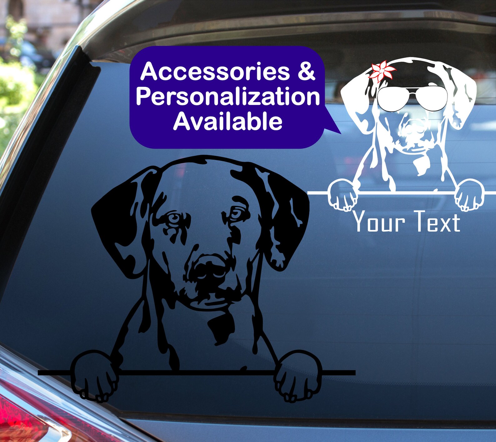 Dalmatian Car Decal Sticker / Personalized Dalmatian Vinyl Dog Etsy UK