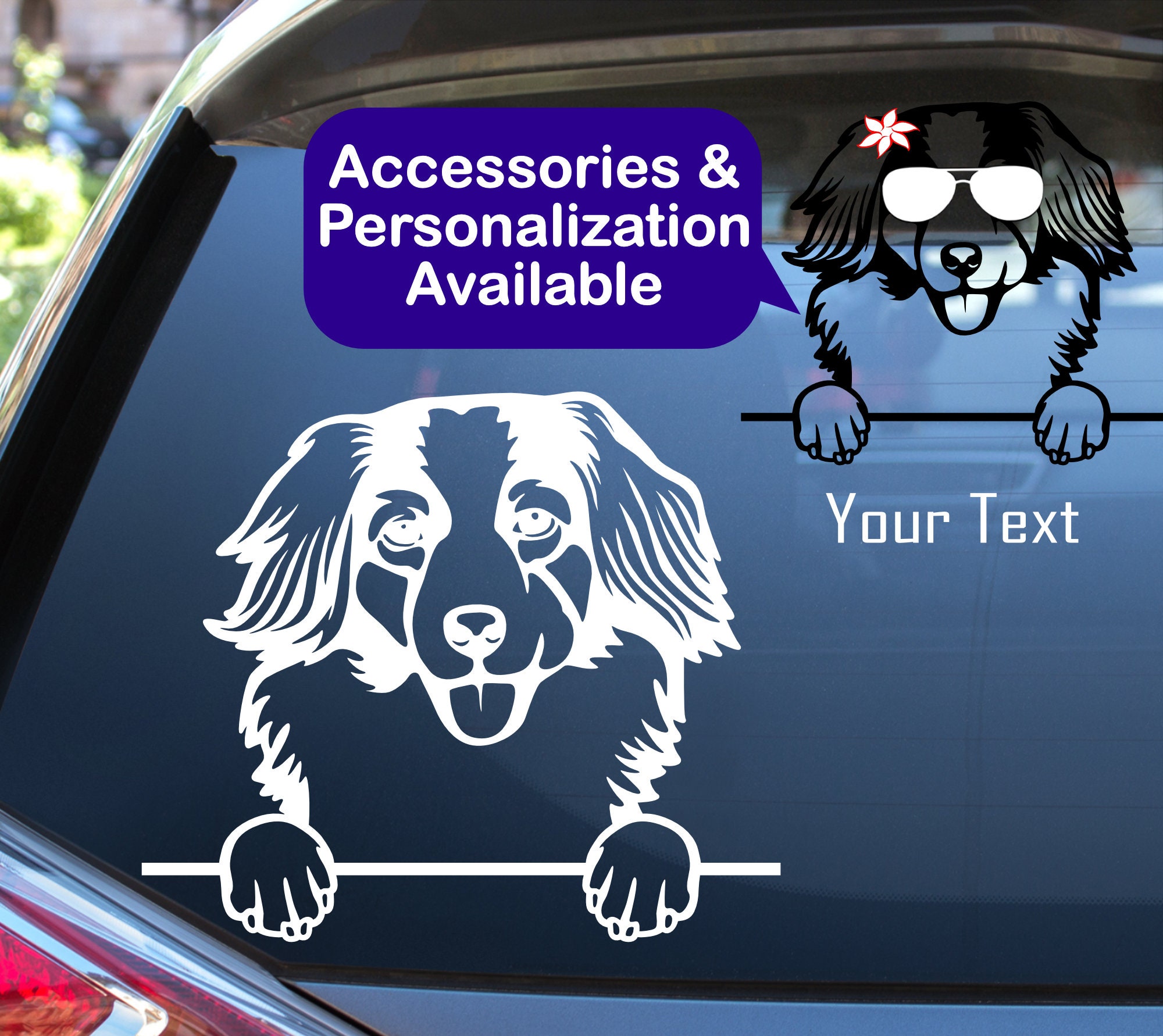 Kooikerhondje on Board Kooiker Dog Sign Decal V01 Car Window Sticker
