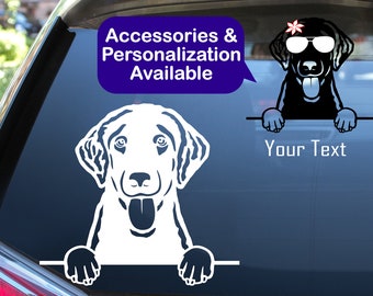 Curly Coated Retriever Car Decal Sticker / Personalized Curly Coated Retriever Vinyl Dog Decal Sticker / Dog Laptop Cup Water Bottle Sticker
