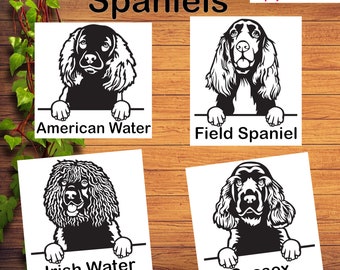 American Water Field Sussex Irish Water Spaniel Car Decal Sticker / Personalized Vinyl Dog Decal Sticker / Dog Laptop Water Bottle Sticker